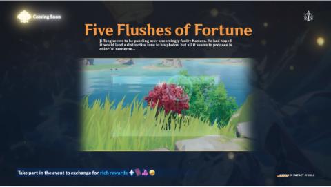 five flushes of fortune