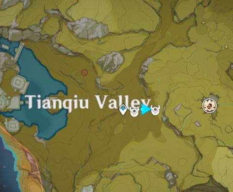 tianqiu valley geovishap and electro cicin mage